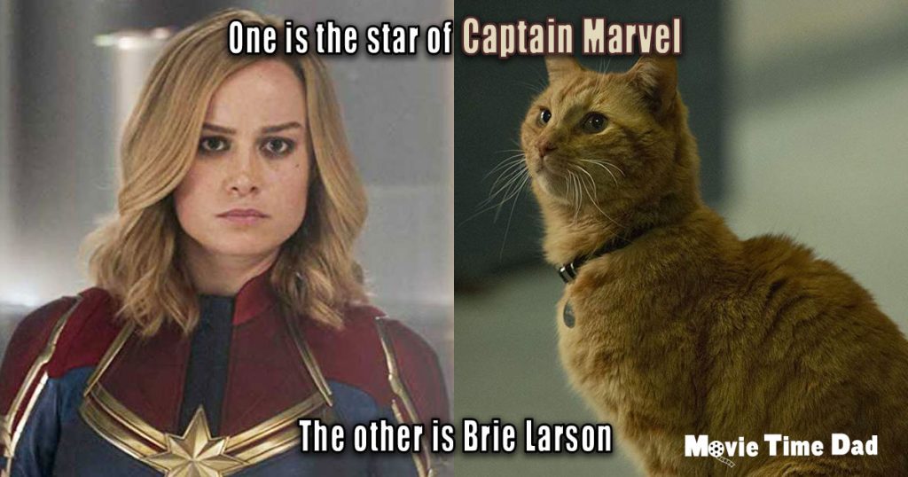 Goose vs Brie Larson Captain Marvel