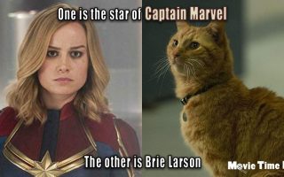 Goose vs Brie Larson Captain Marvel