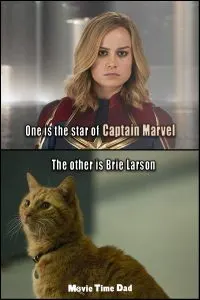 Goose vs Brie Larson Captain Marvel