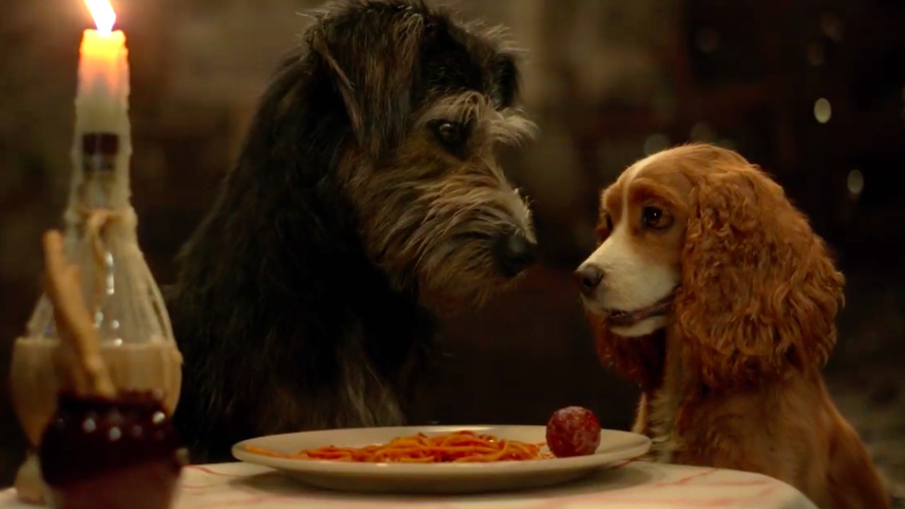 Live Action Lady and the Tramp (2019): Parent Review