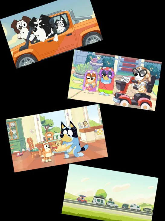 The Best Bluey Episode – Top 13 Episodes New Ranking